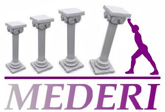 MEDERI CONSULTING
